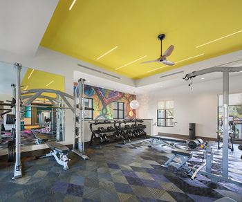 Club x: fitness center with a variety of strength and cardio options